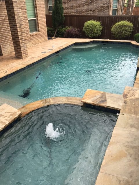 Pool Draining and Cleaning